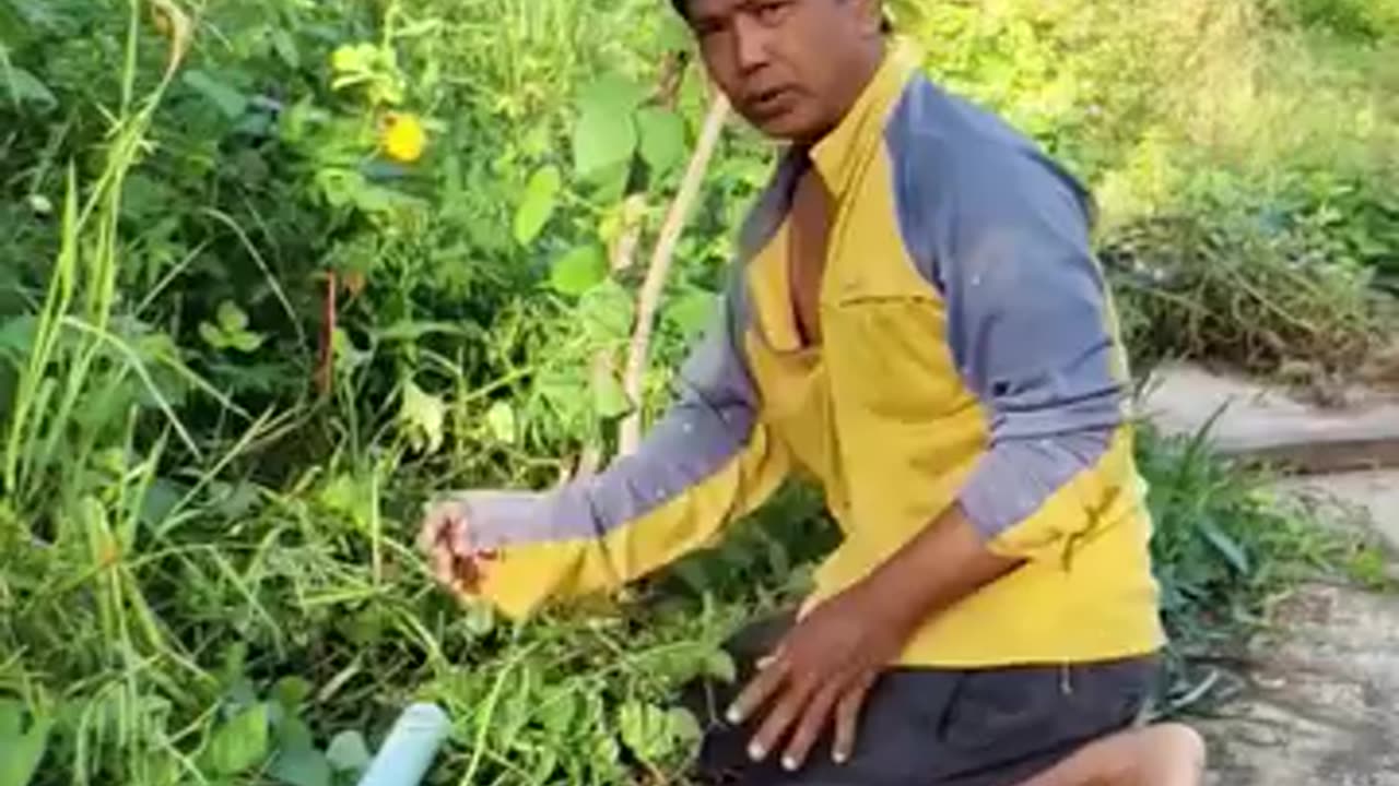 Mujhe kis time danda mara