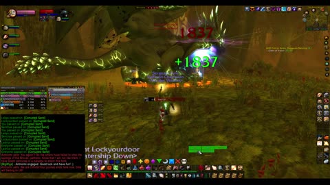 Turtle wow - PUG Black Moras custom dungeon - Paladin POV - no commentary