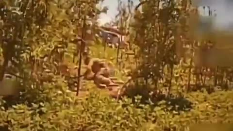 🛸⚡ Ukraine Russia War | Perun Drone Chases Russian in Khurakove | RCF