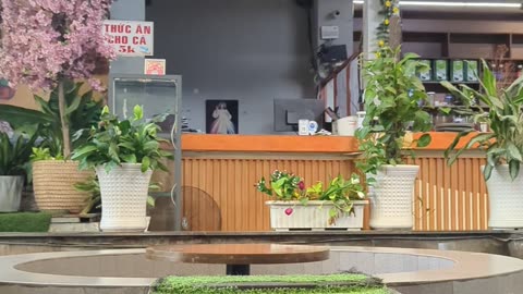 Vietnam coffee house