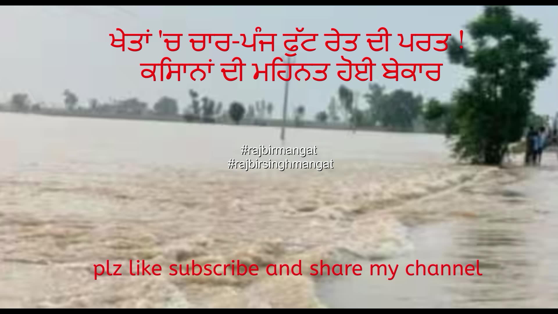 ਖੇਤਾਂ ਚ ਚਾਰ-ਪੰਜ ਫੁੱਟ ਰੇਤ ਦੀ ਪਰਤ ! ਕਿਸਾਨਾਂ ਦੀ ਮਿਹਨਤ ਹੋਈ ਬੇਕਾਰ