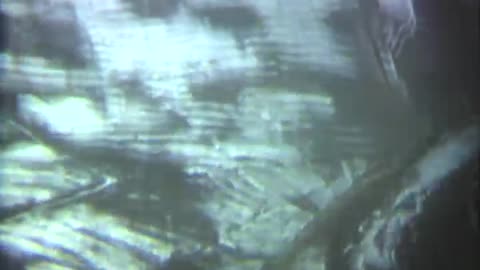KOREAN GUN CAMERA - KOREAN GUN CAMERA - 428-npc-448