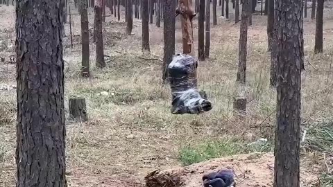 致命的“花瓣”：俄罗斯PFM-1反人员地雷的恐怖威力 #俄乌冲突 #军事科普 #武器科普 #军迷发烧友 #军事爱好者