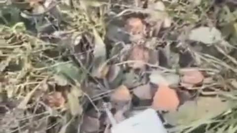 💀👊 Ukraine Russia War | Russian War Criminal Eliminated by Ukrainian Defence | RCF