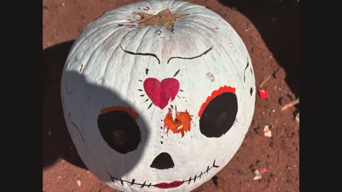 Cody Takes out a pumpkin with a 6.5 Creedmoor