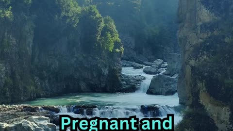 Pregnancy Sleepless Facts#AncientWisdom 📜 #SleepBetter 😴 #OldSchoolTips 🌙 #NapTime 🛏️ #ZenMode 🧘