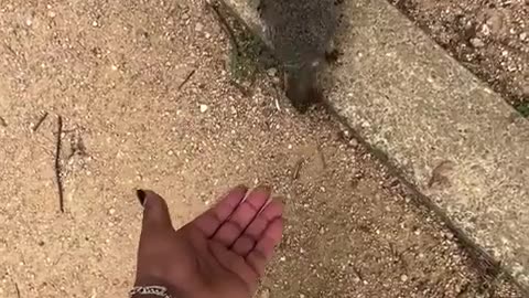 😂🤮 Hand Fed Gone Wrong in Seconds! | FunFM