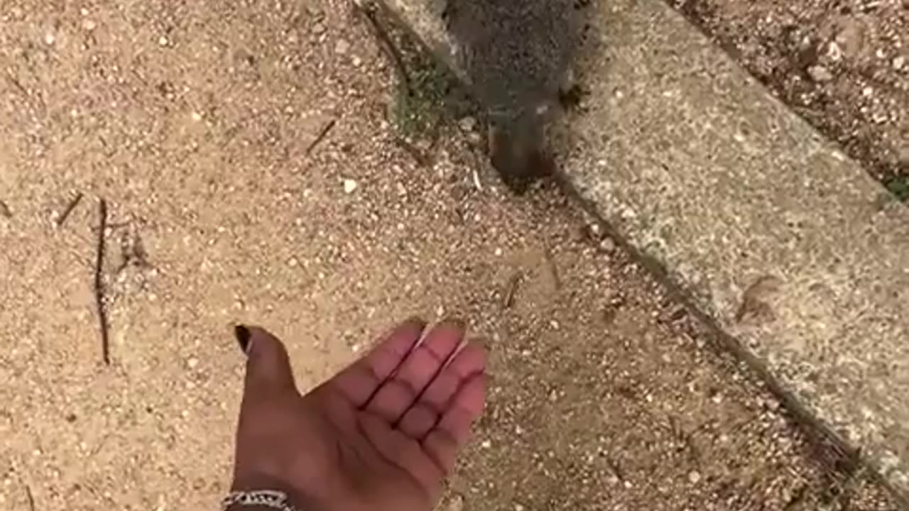 😂🤮 Hand Fed Gone Wrong in Seconds! | FunFM