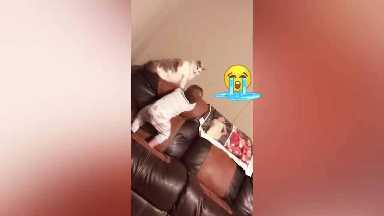 Baby and cat funny