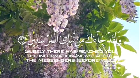 🔥Surah Al Anam 6:34 سورة الأنعام 🌟Allah’s Promise Never Fails!🛐#quran #shorts #viral #youtubeshorts