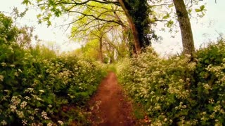 Planting Seeds of the Divine with Yiscah Smith | Created In The Image of God 195