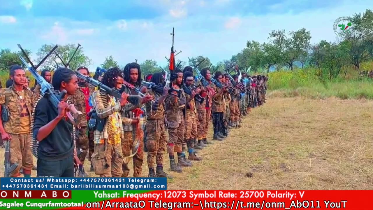 Gabaasa Tarkaanfii ONM-ABO Hagayya 9-2025 itti dhiyaadhaa!