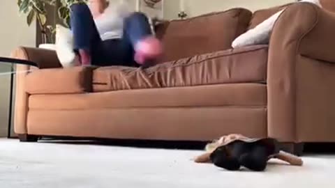 Prank