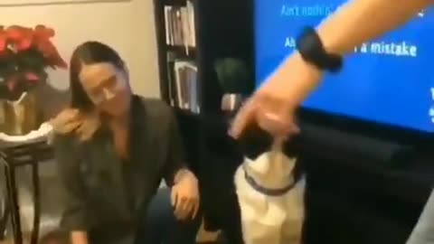 😍😍😘🔥 😍💦 FUNNY Animals and pet's💕😘 😘🔥 💕😘 😍💦 💦
