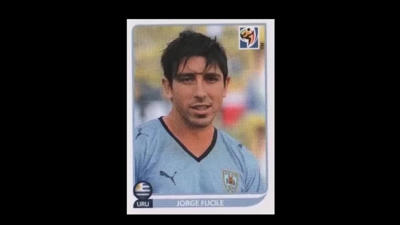 PANINI STICKERS WORLD CUP 2010 ALL TEAMS