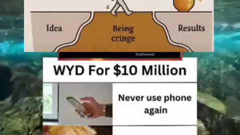 Memes of the day | funny memes | #funny