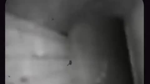 Deleted videos from the dark web part 5
