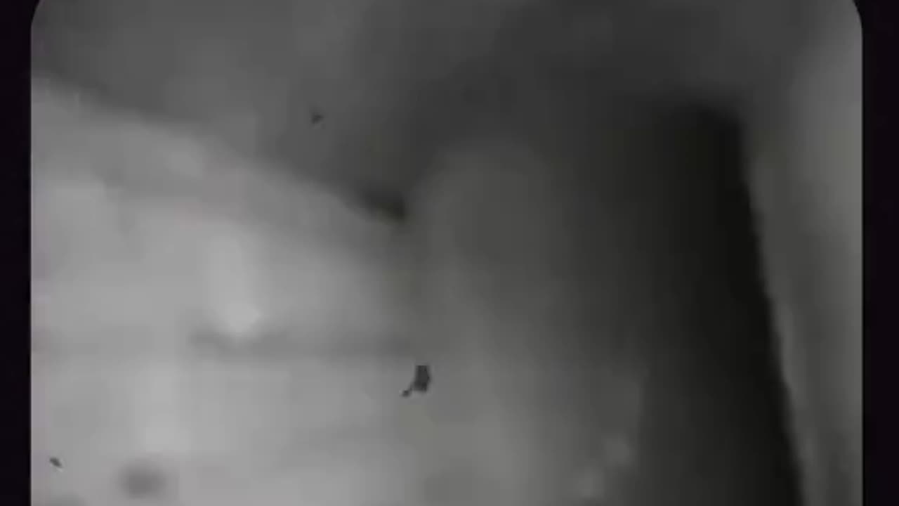 Deleted videos from the dark web part 5