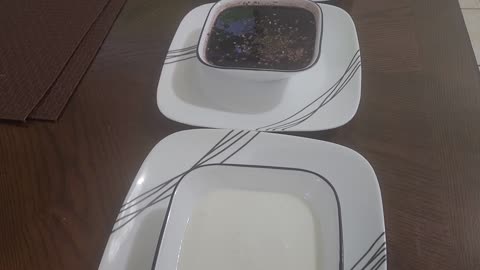 MEAL OF THE DAY
