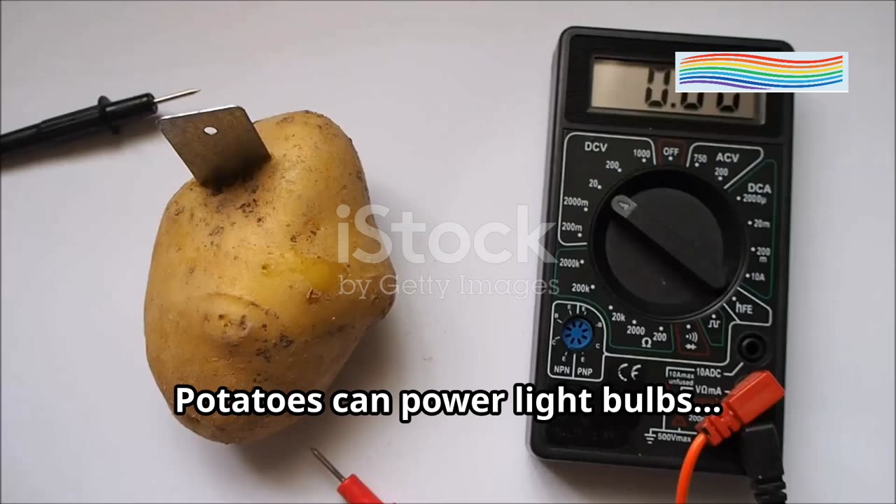 7 Shocking Potato Facts You Never Knew! | Weird Potato Science & History