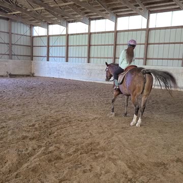 Kyla sidepassing Diva both ways .