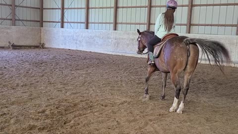 Kyla sidepassing Diva both ways .