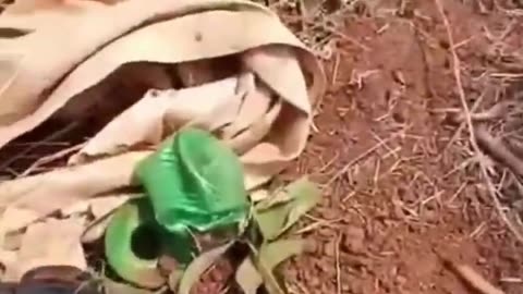 🏙️💥 Myanmar War | Urban Revolutionary Front in Combat | RCF