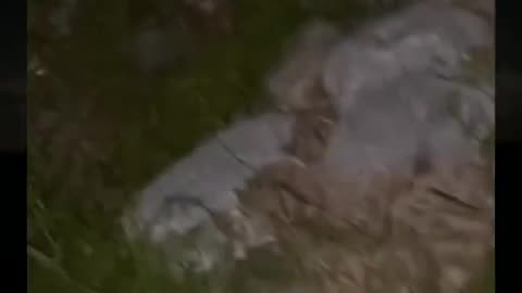 🔥👽 Jinn or Alien? This Encounter Will Haunt You | TheHauntingHour