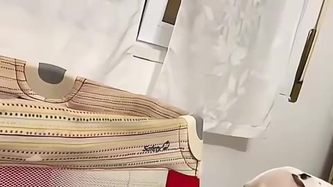 SLEEPING DOG 😂 😂😂😂