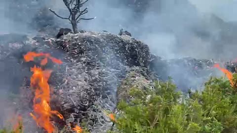 Zjarrfikësit me degë peme luftojnë me zjarrin në Dukat, avionët nga Greqia hedhin ujë