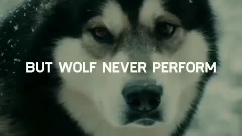 Passive Income Tips You Can Try 💰/ Money-Making Ideas for Everyone #Shorts