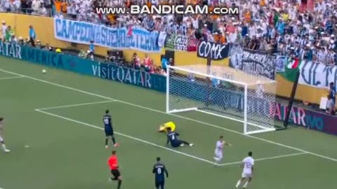 los blancos