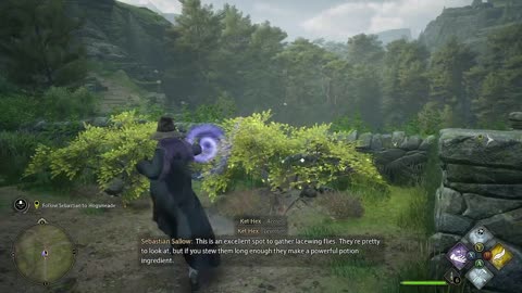 I'm also a wizard now, Harry