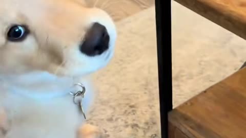 😂💡 You Won't Believe This Clever Solution! | FunFM