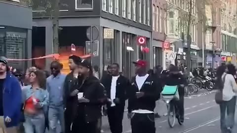 Timbuktu oder Amsterdam Man weiß es nicht! Amterdam 2025!