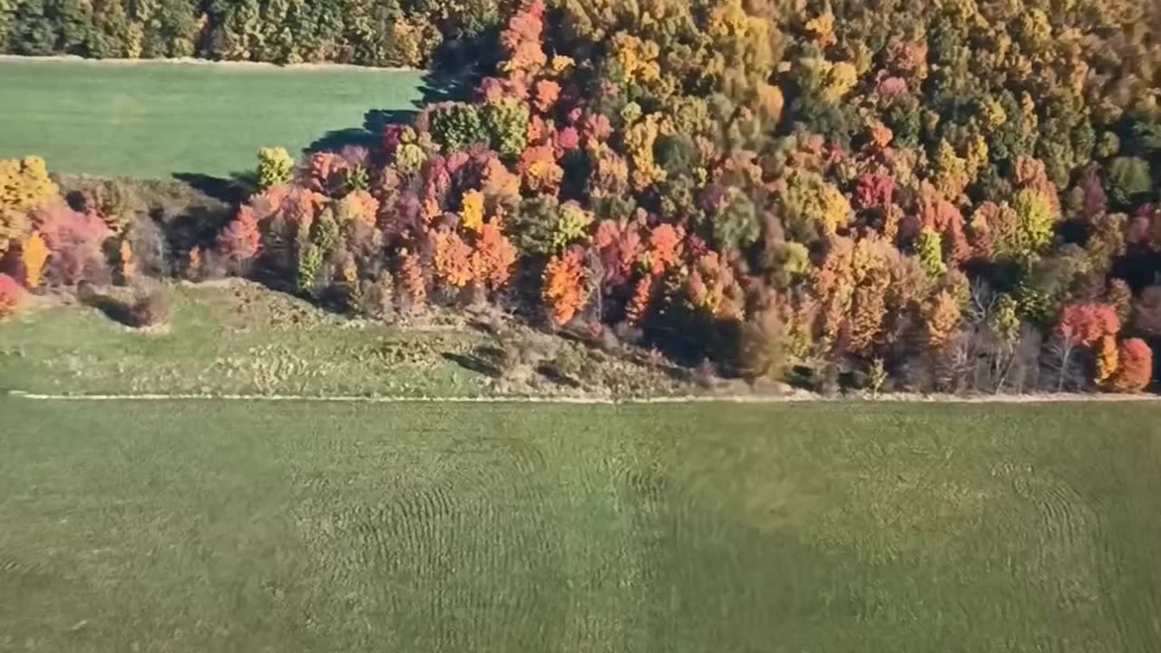A long fall flight in my FP202 Koala