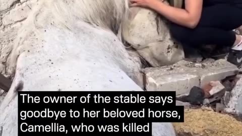 💔🐴 Ukraine Russia War | Heartfelt Farewell to Horse Lost in Russian Attack | RCF