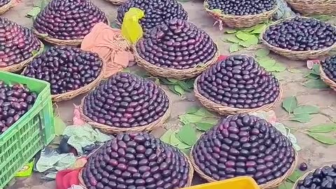 Kale jamun real short viral video