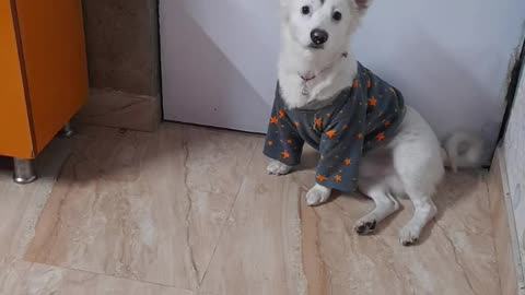 My akki