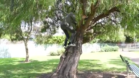 Jiemba Sands: Best Of Funny Videos (Animals/Fighting/Celebrities/Impersonations + More)