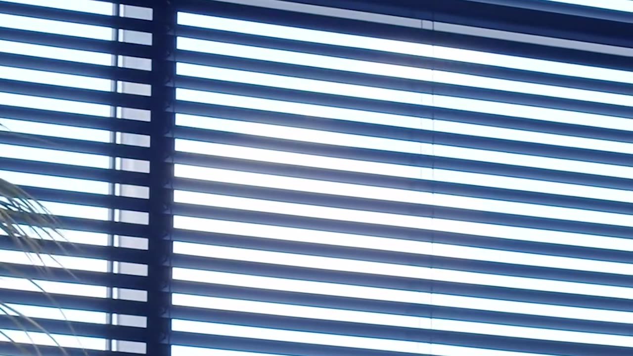 Designer Window Blinds From Livin