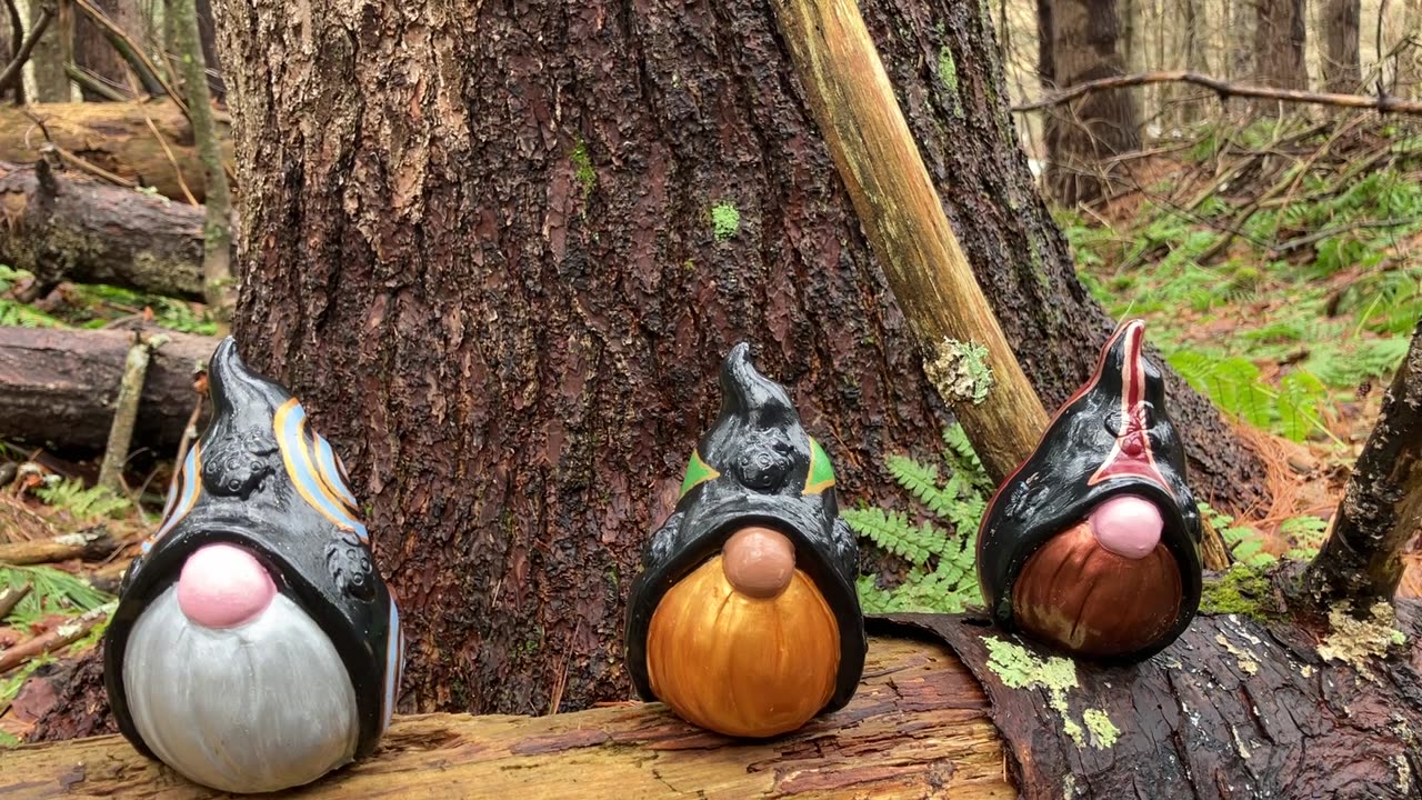 The Morrigan Gnomes, Part III, By the pools