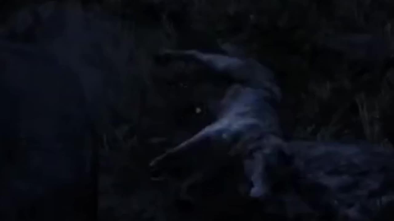 Good way to start the stream! Onyx wolf & pack.