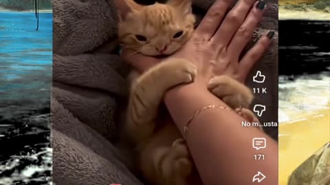 Just shorts videos - Follow 😜😋!!!!!!!