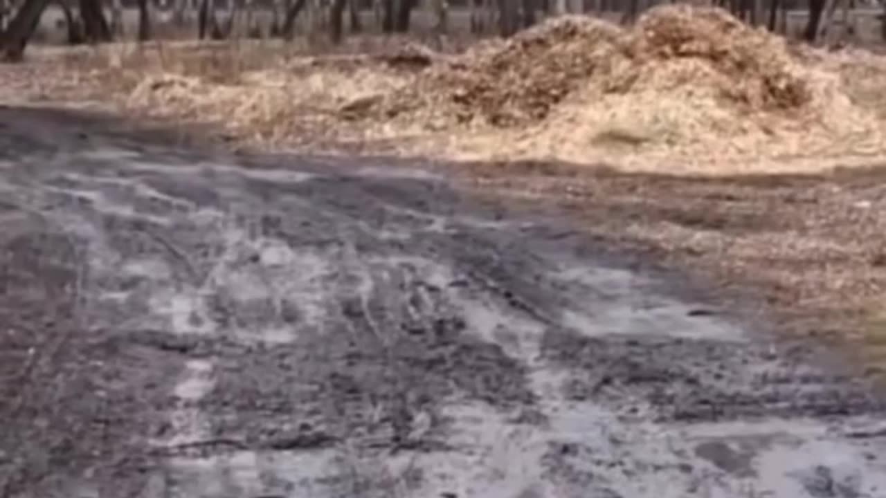 Beware of excited doggys