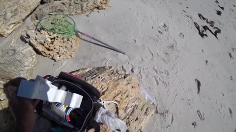 cambio foce o uscita di uno d1e provo solo con gamberi vivi o shrimp_part10