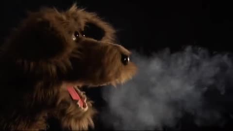 coolio doggie
