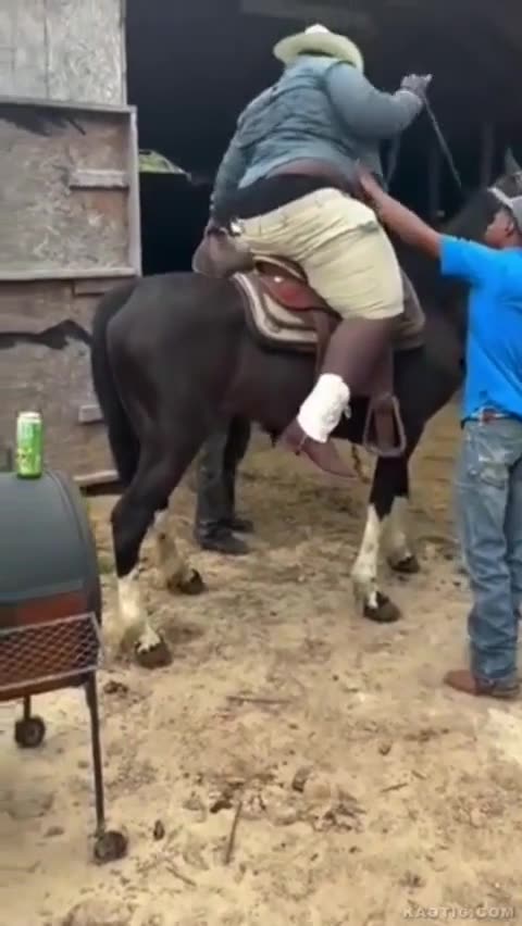 Stupid niggers with a horse