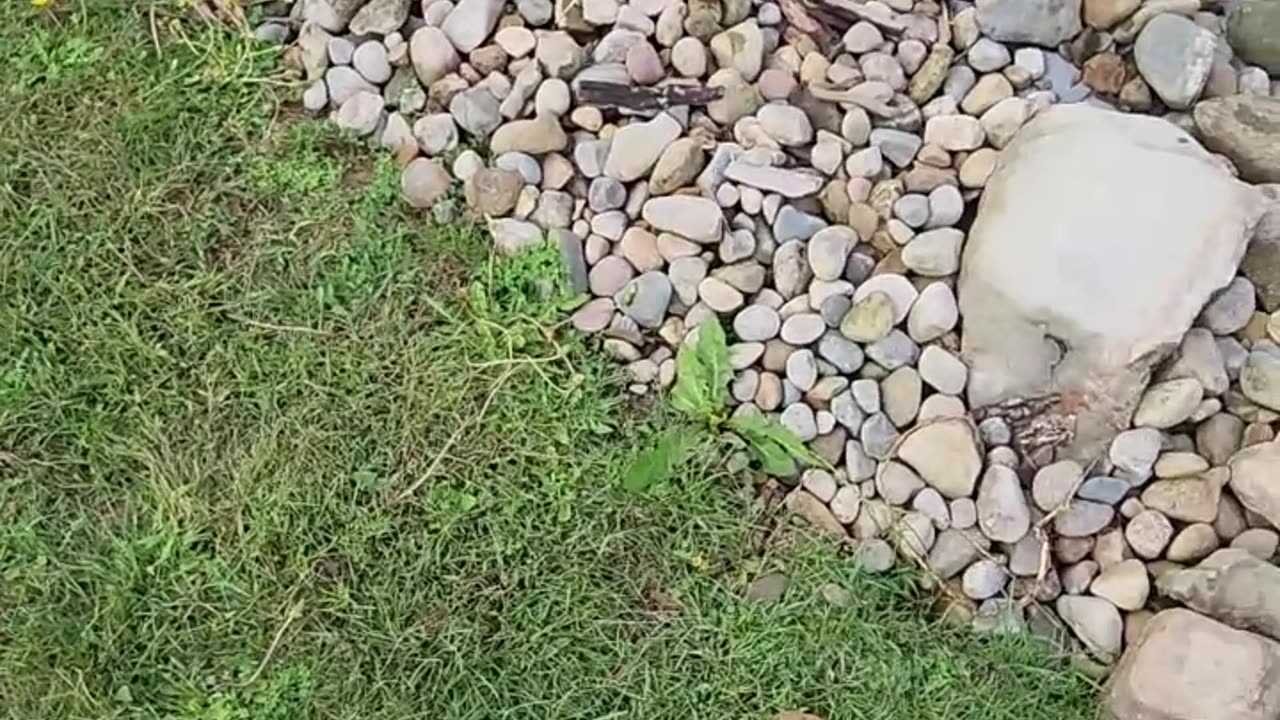 Heavy Terraforming using River Stones