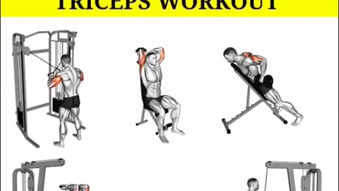“💥 10-Min Triceps Workout – Gym & Home 🔥 Get Bigger Arms FAST!”